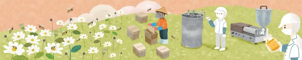 蜜蜂與我們生活息息相關，除了各種蜂產品以外，所吃的蔬果有許多都仰賴蜜蜂授粉，是大自然中重要的昆蟲。（連結至臺灣農業故事館看更多介紹）-另開新視窗