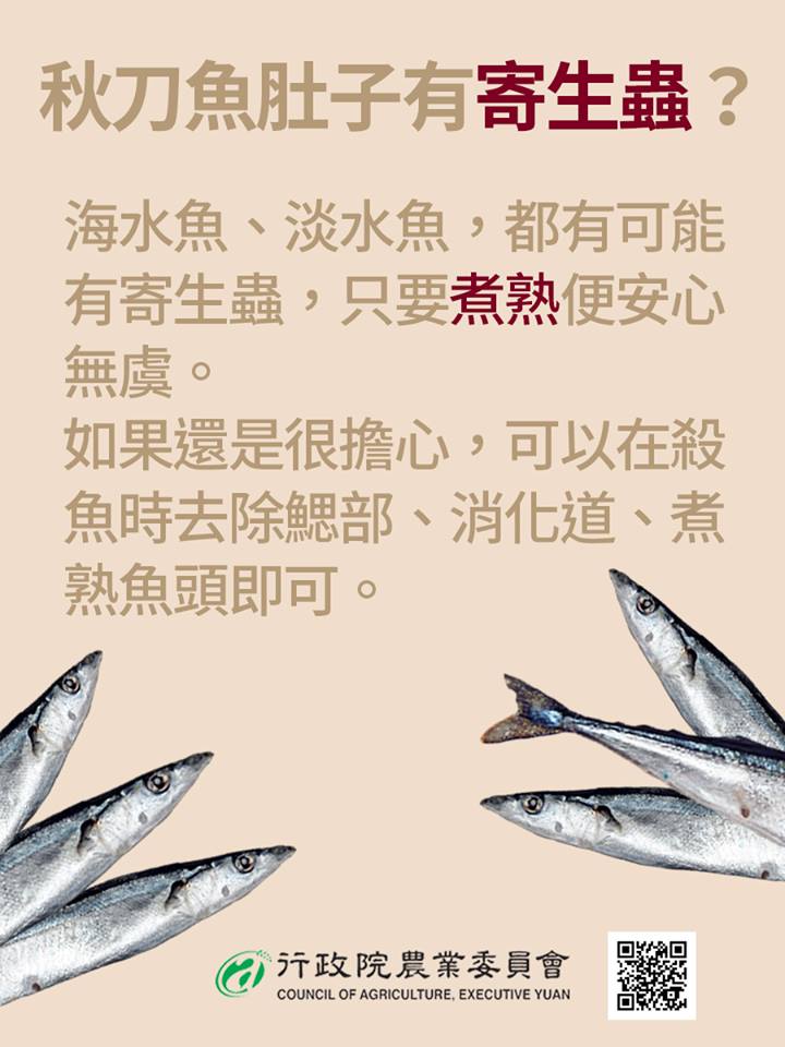秋刀魚肚子有寄生蟲？海水魚、淡水魚，都可能有寄生蟲，只要煮熟便安心無虞。如果還是很擔心，可以在殺魚時去除鰓部、消化道、煮熟魚頭即可。