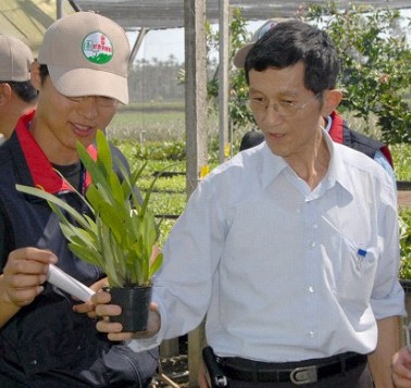 葉世賢農友培育蘭花有成，並打入國際蘭花市場