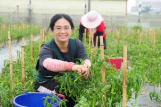 樂觀進取是劉淑芬往有機農業邁進的動力 