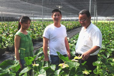 夫妻同心協力工作，加上農會指導員姜景斌先生的全力輔導，使得業務蒸蒸日上