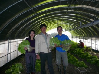 李晨均 ( 左 ) 在八德蔬菜產銷班長李傳添 ( 中 ) 帶領下，嘗到耕種與豐收的滋味