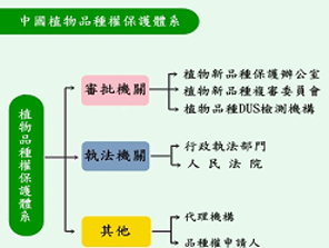 圖1　中國大陸植物品種權保護體系