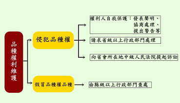 圖7　中國大陸植物品種權侵權與仿冒件處置方式