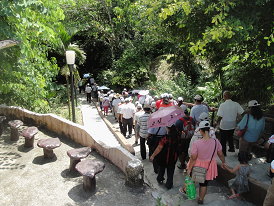 解說員帶旅遊客走進玉龍泉步道去做一趟生態之旅