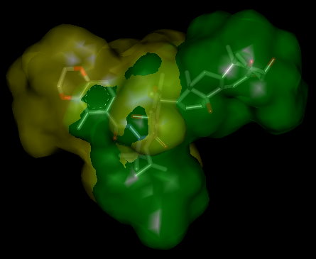 圖 1 綠棉夜蛾蛻皮激素受體與 20- 羥基蛻皮激素和二醯基聯氨類殺蟲劑 -BYI6830 之結合腔構象。採用 PDB ID:2R40 及 1R20 結晶構型，以 Accelrys Discovery Studio 藥物設計軟體進行圖形表示。綠色為 20- 羥基蛻皮激素結合的結合腔構象，黃色為 BYI6830 結合的結合腔構象。 