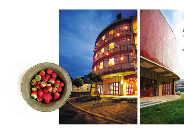 苗栗縣大湖農會酒莊的草莓文化館結合泰安溫泉，為當地重要觀光景點。