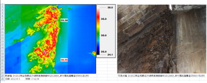 圖 4. 霜毛蝠成蝠仔蝠群集體表溫度，左為紅外線熱成像資料，右為數位相機拍攝照片。左圖熱成像以藍色多邊形框出一群集（方框藍底紅字 1 ），最高測溫點 38.46 ℃（紅色數值），最低 29.38 ℃（黑色數值）。蝙蝠放射率修正為 0.98 。（提供 / 張育誠） 
