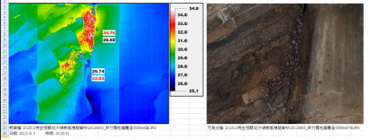 圖 5. 霜毛蝠仔蝠群集體表溫度，左為紅外線熱成像資料，右為數位相機拍攝照片。紅外線熱成像以藍色多邊形框出兩群集（方框藍底紅字 1 和 2 ），群集 1 最高測溫點 34.76 ℃（紅色數值），最低 28.68 ℃（黑色數值）；群集 2 最高 33.03 ℃（紅色數值），最低 29.74 ℃（黑色數值）。蝙蝠放射率修正為 0.98 。（提供 / 張育誠） 