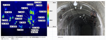 圖 7. 水里鄉棲所臺灣葉鼻蝠個體體表溫度，左為紅外線熱成像資料，右為數位相機拍攝照片。熱成像資料 p1~p20 為前 20 個較高測溫點，後接數字為該點溫度（℃），蝙蝠放射率設定為 0.98 。（提供 / 張育誠） 